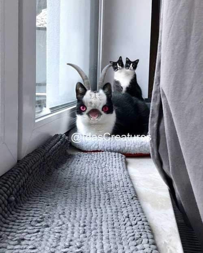 Scary And Funny New Artwork From The Girl Who Turns Pets Into True Fantasy Creatures