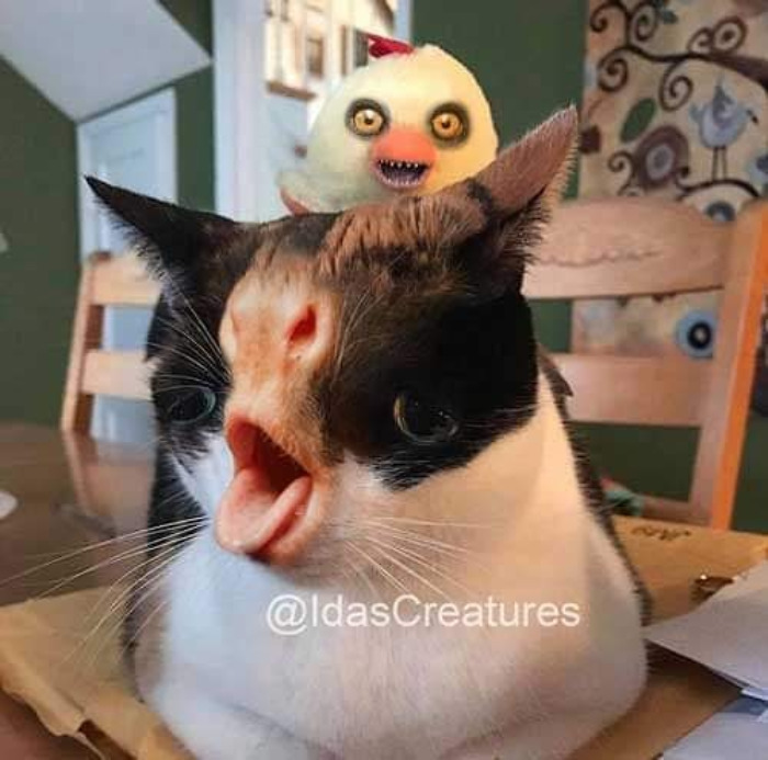 Scary And Funny New Artwork From The Girl Who Turns Pets Into True Fantasy Creatures