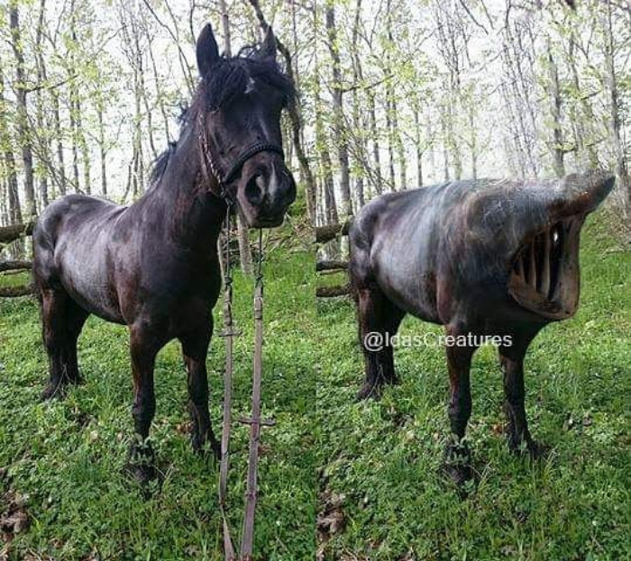 Scary And Funny New Artwork From The Girl Who Turns Pets Into True Fantasy Creatures