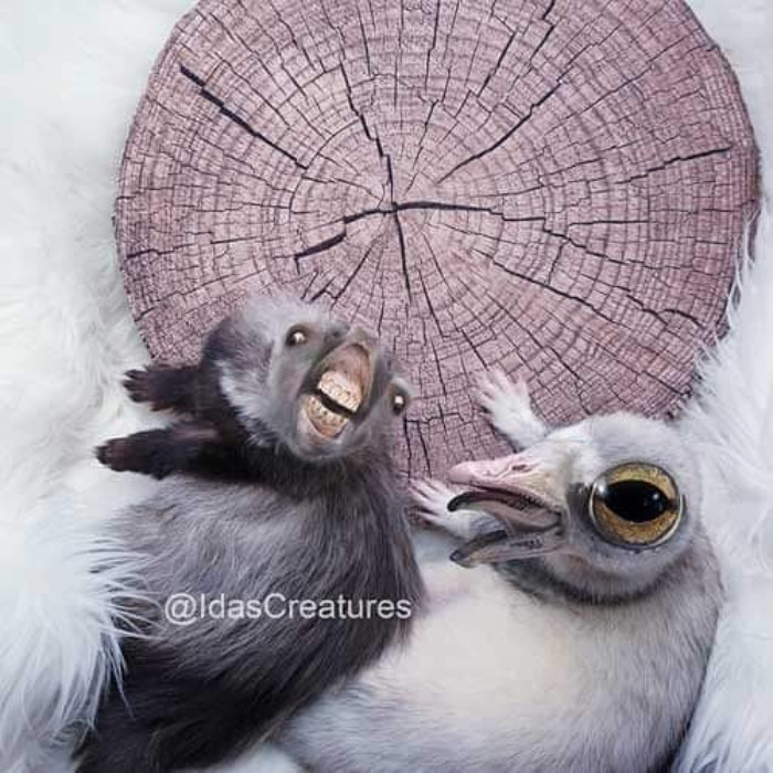 Scary And Funny New Artwork From The Girl Who Turns Pets Into True Fantasy Creatures