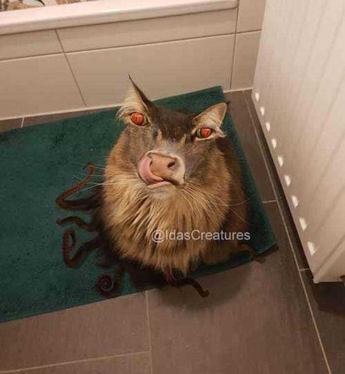 Scary And Funny New Artwork From The Girl Who Turns Pets Into True Fantasy Creatures