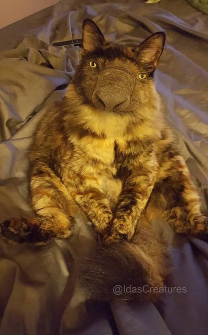 Scary And Funny New Artwork From The Girl Who Turns Pets Into True Fantasy Creatures