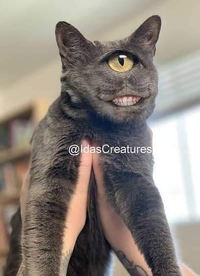 Scary And Funny New Artwork From The Girl Who Turns Pets Into True Fantasy Creatures