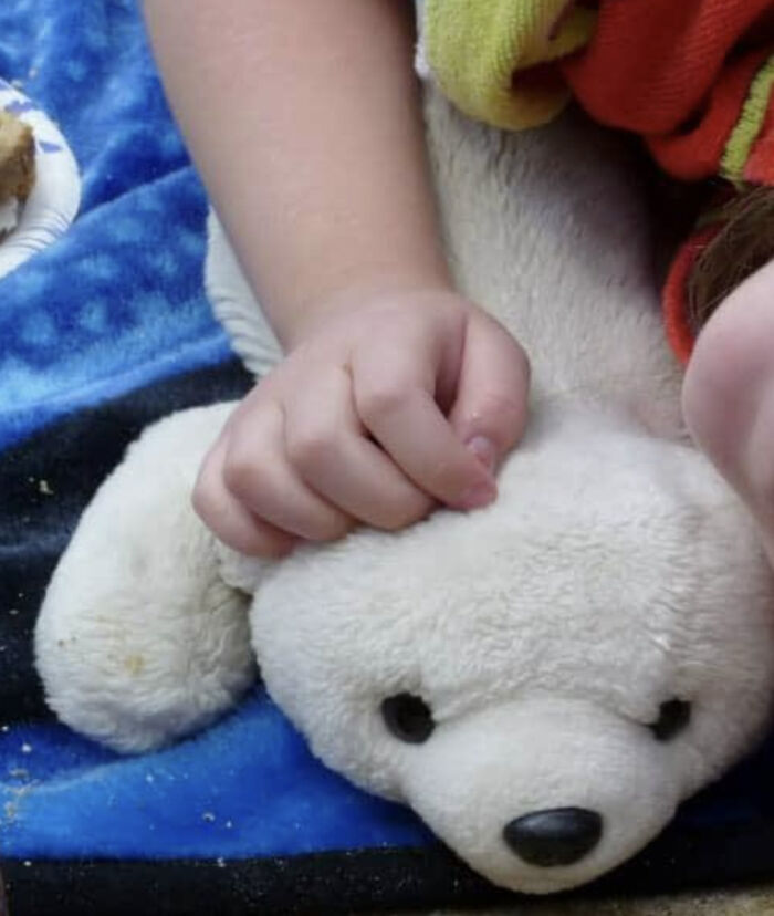 Pobie The Polar Bear