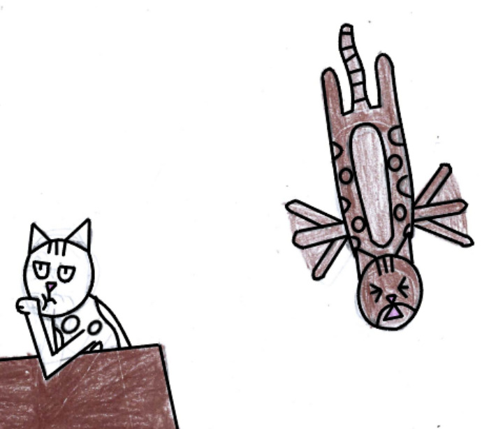 Narwhal (Left) And Chocolate (Right)