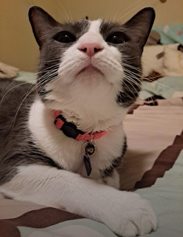 Mayzie Is Just Chillin