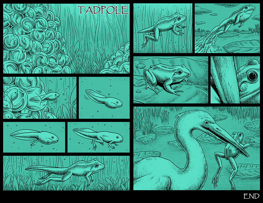 Taiwanese Illustrator Draws Horror Comics With Unexpected Twists (New Pics)