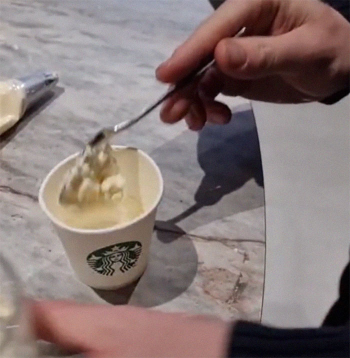 Spoiled Dog Only Eats Her Puppuccino From A Starbucks Cup