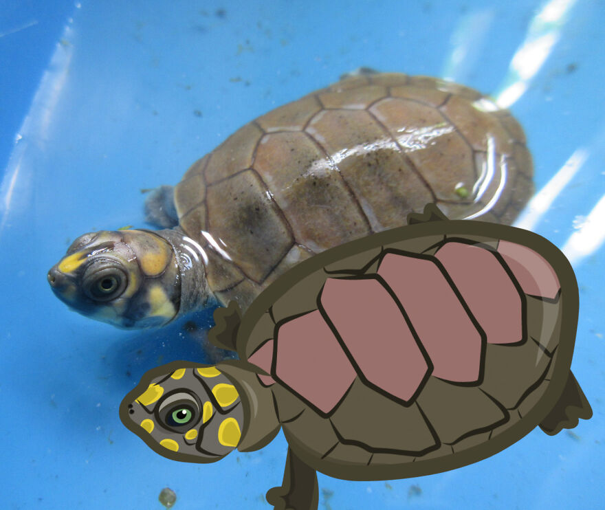 We Spent 2 Months In The Amazon And Made A Board Game About It!