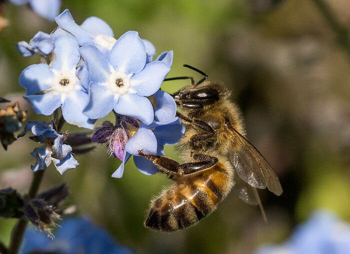 What Is The Most Important Living Creature On The Planet?