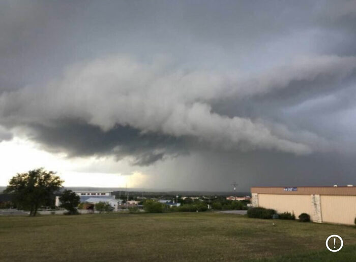 Alligator Swallows Town