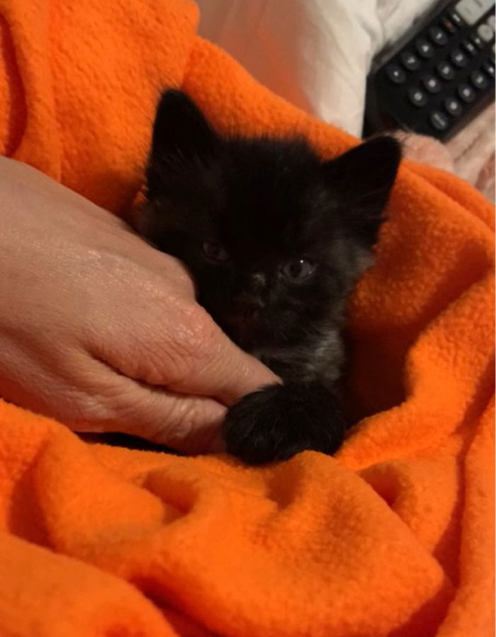 Criminal Has Taken Me Hostage, I Fear I May Never Get My Finger Back!