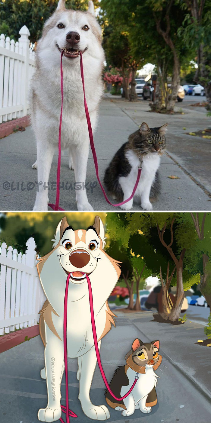 “Don’t Worry Human, I’ll Walk The Tiny, Fluffy Dog!” 😁⁣