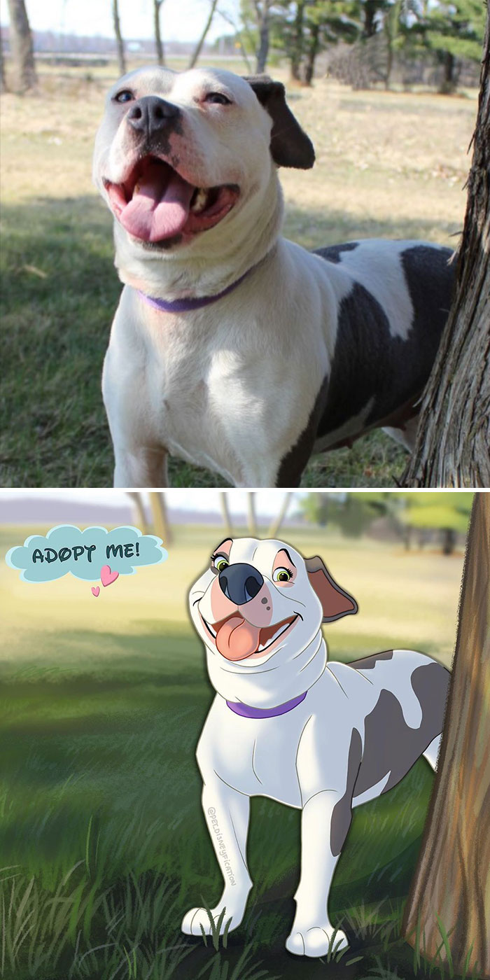 Celebrating Friday With A Pittie Smile 😄⁣