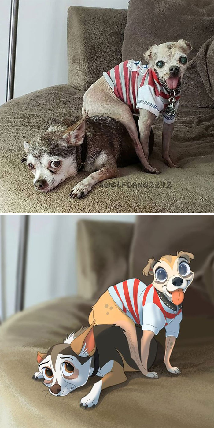 Monday vs. Friday Vibes.⁣ ⁣i Thought This Picture From @wolfgang2242 Was So Sweet And Cartoony!⁣ Engelbert And Eeyore Looked Like Such Sweet Dogs (With Perfectly Fitting Names!). Thanks So Much For Giving Them A Great Life