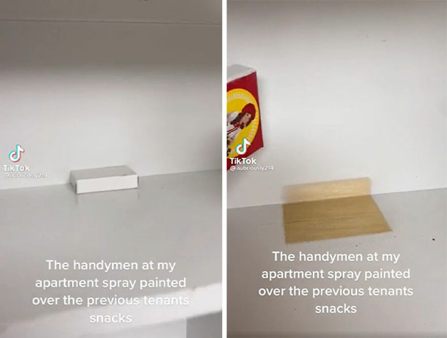 Painted The Shelves, Boss