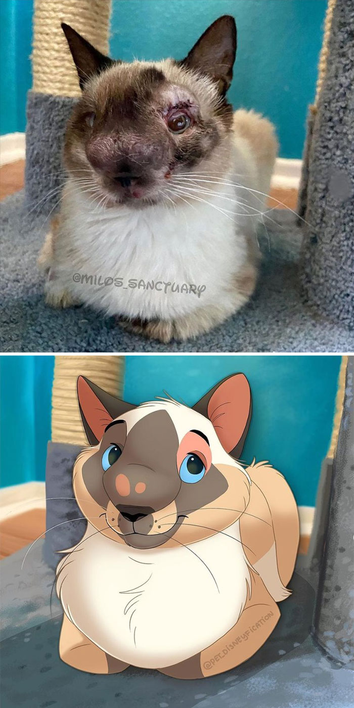 I Saw This Face And Immediately Bookmarked It So I Wouldn’t Forget To Draw Him! 🥺⁣