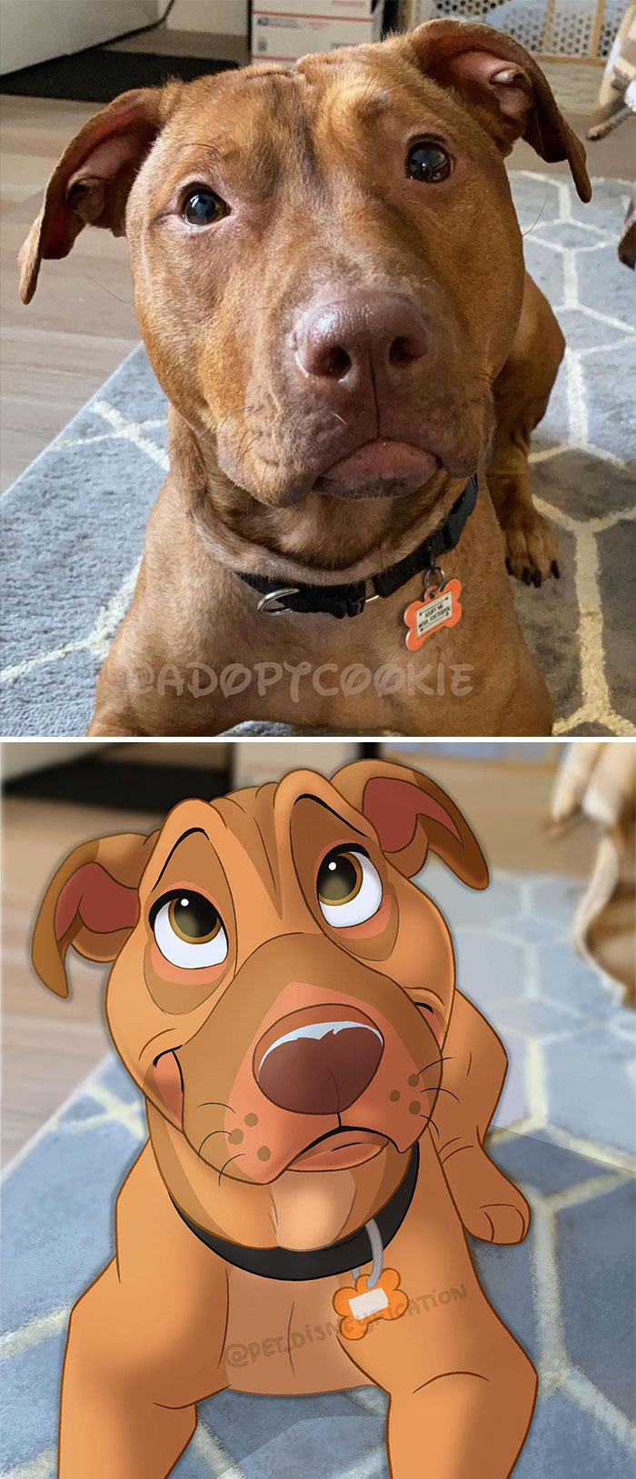 Pitties Need More Love Right?! 😍😍😍⁣