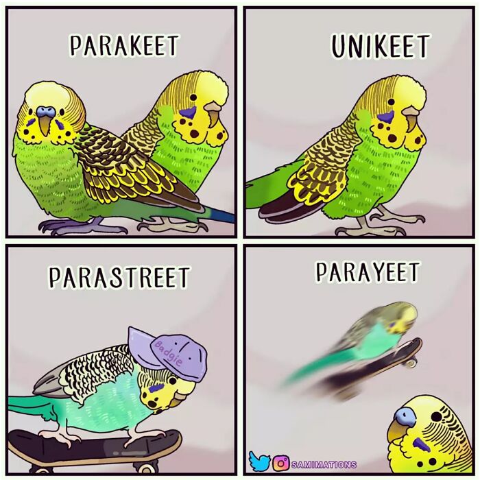 Illustration of playful parakeets with humorous variations, capturing random thoughts to cheer you up in a colorful comic style.