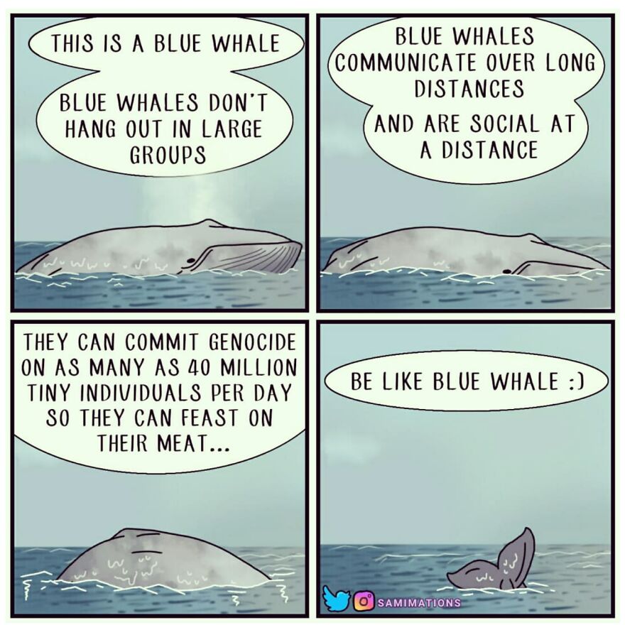 Be Like The Blue Whale