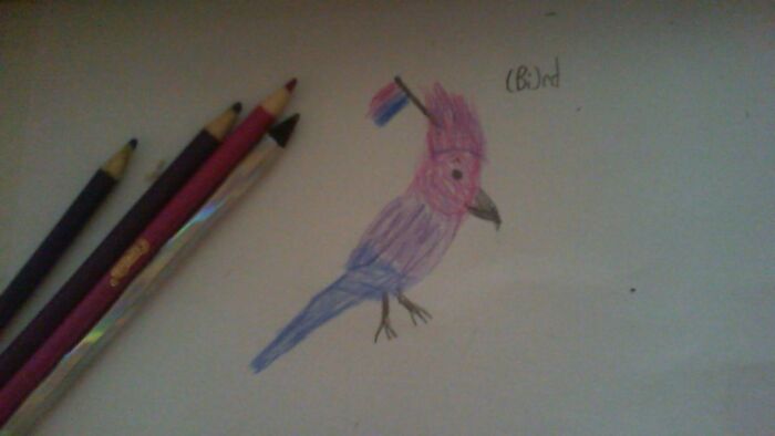 Pride-Crested Cockatoo