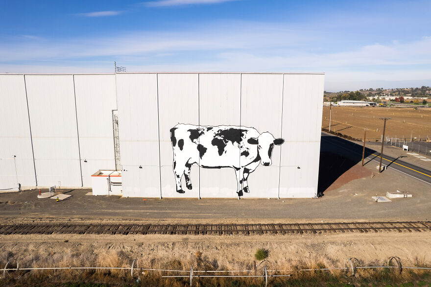 We Painted The Biggest Cow In The World