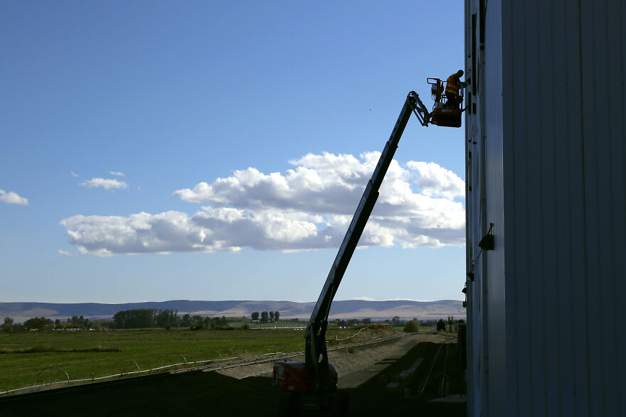 We Painted The Biggest Cow In The World