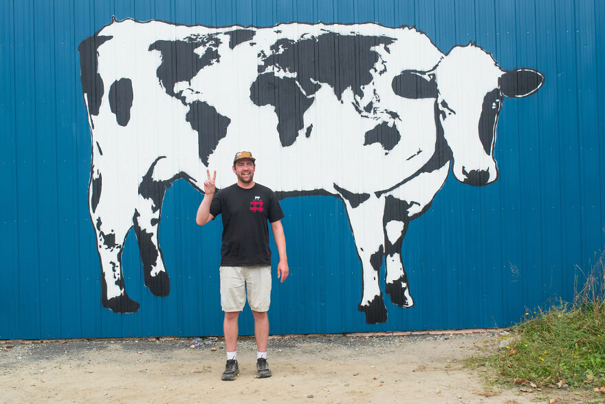 We Painted The Biggest Cow In The World
