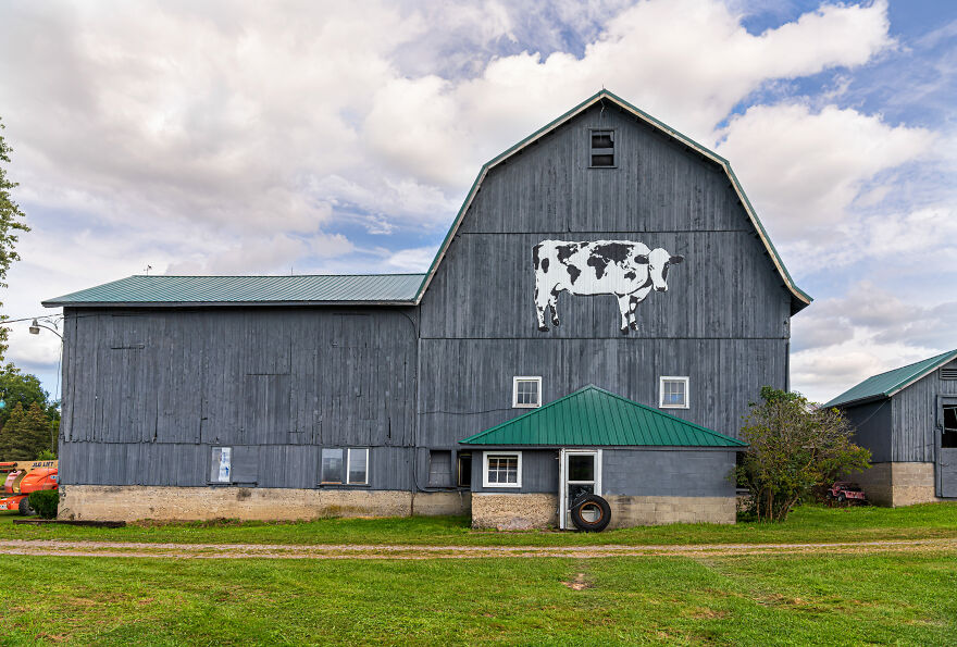 We Painted The Biggest Cow In The World