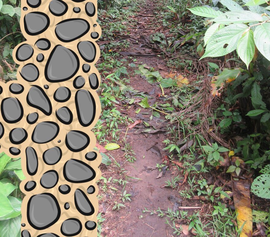 We Spent 2 Months In The Amazon And Made A Board Game About It!