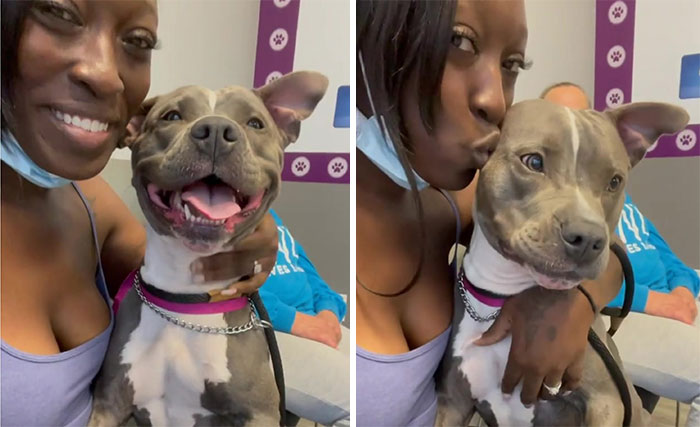 Woman Rescues An Abandoned Pit Bull From Railroad Tracks Seconds Before Train Comes Woman Rescues An Abandoned Pit Bull From Railroad Tracks Seconds Before Train Comes