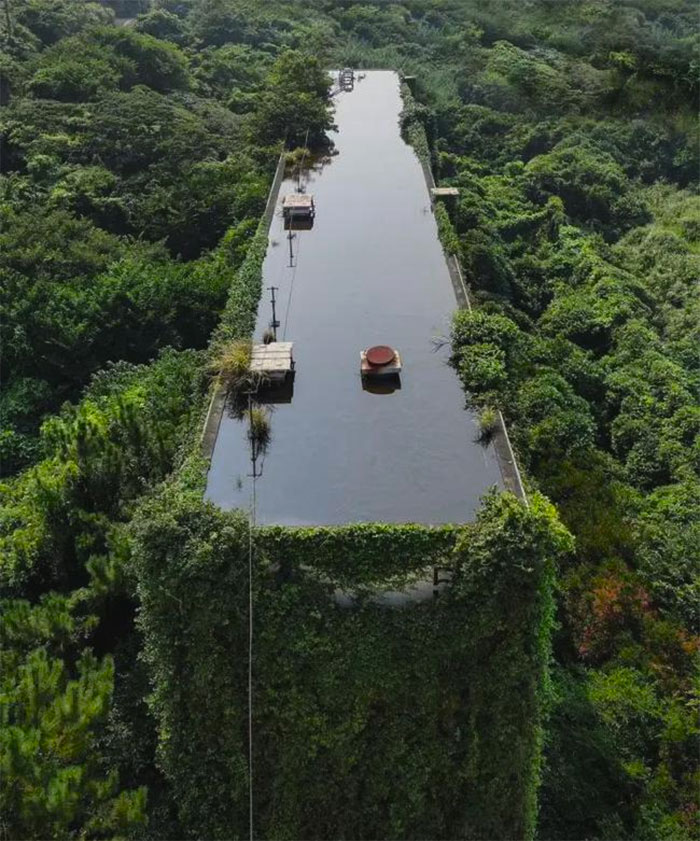 Nature Takes Over This Abandoned Industrial Building But Adds A Rooftop Pool