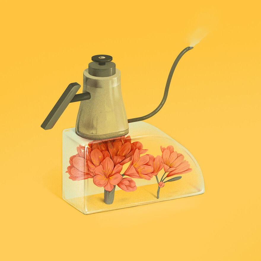 K Is For Kaffir Lily