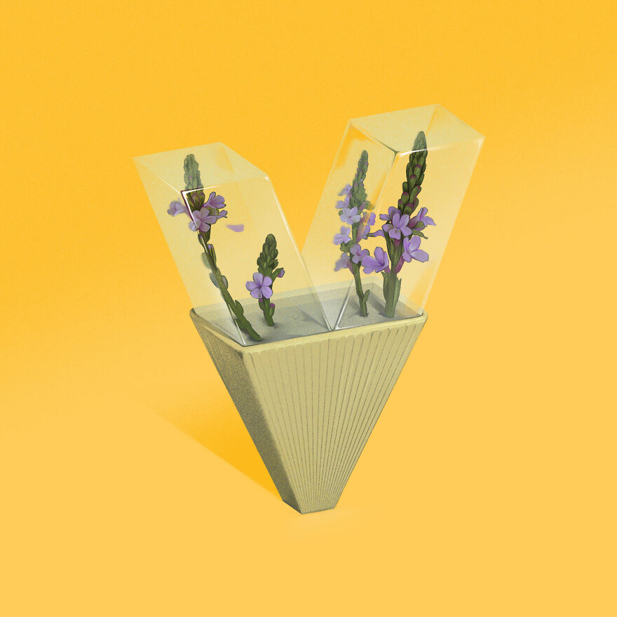 V Is For Verbena Officinalis