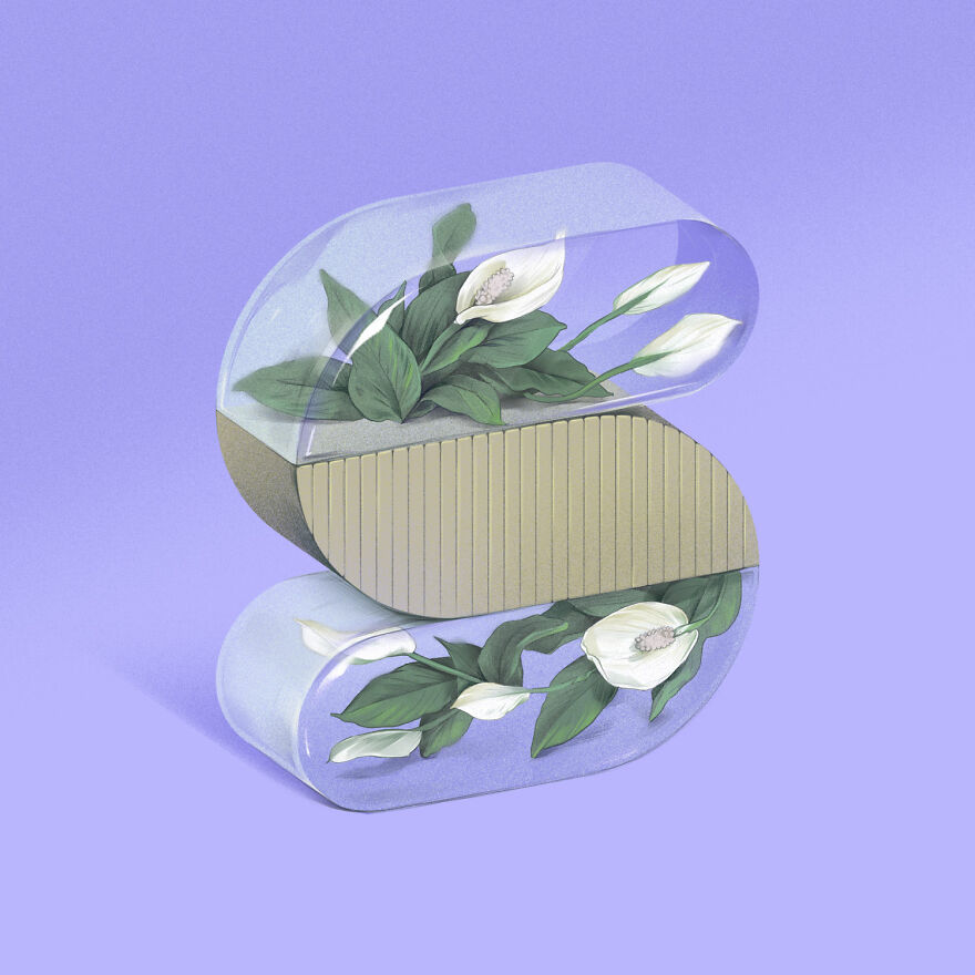 S Is For Spathiphyllum