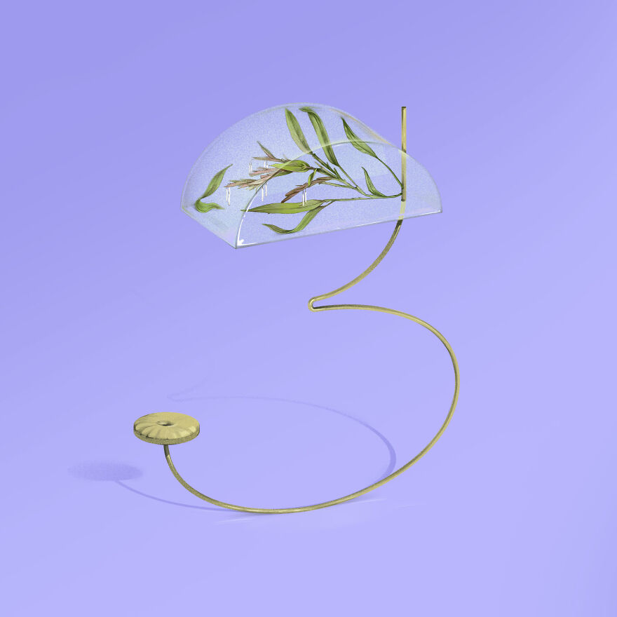 Number Three For Melocanna Baciffera