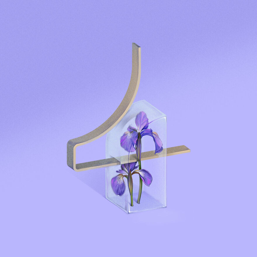 Number Four For Iris