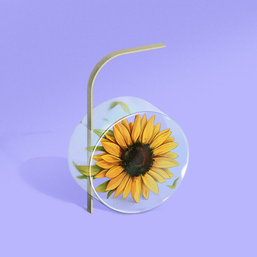 Number Six For Sunflower