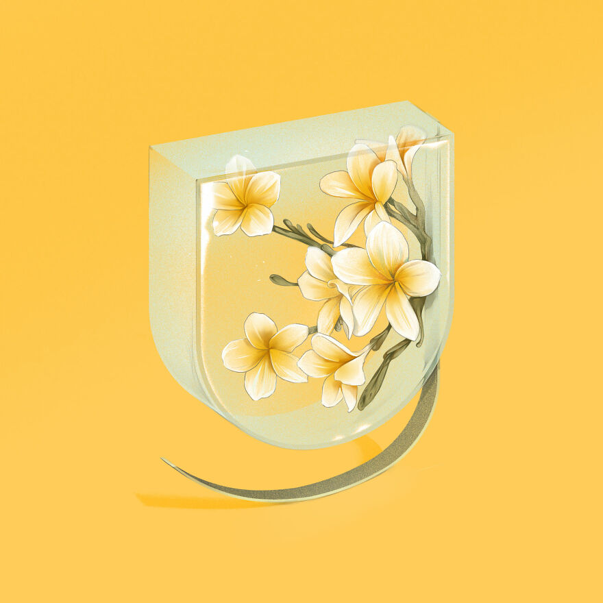 Number Nine For Frangipani