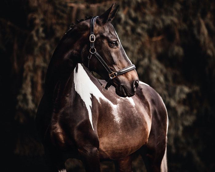 My Girl Turned 20 Years Old This Year