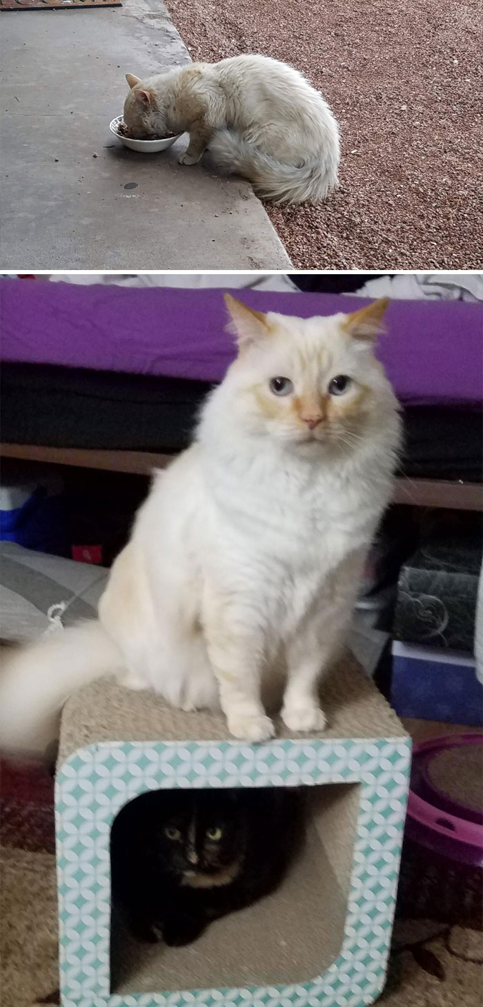 January 2019 - Today. This Is Simon, My Buddy