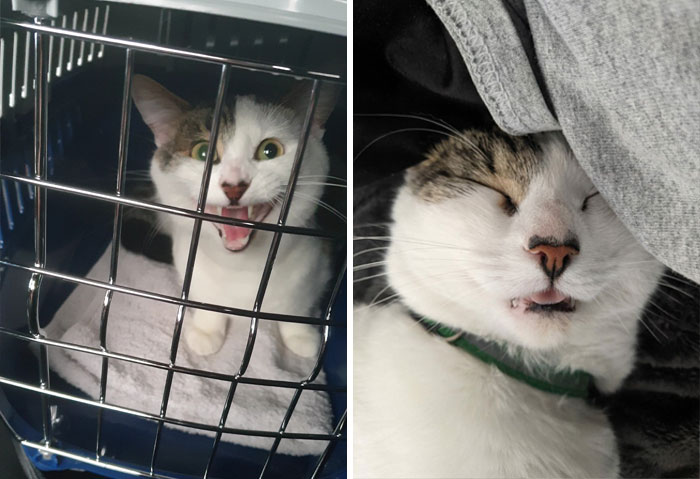 We've Had Him For A Year Today