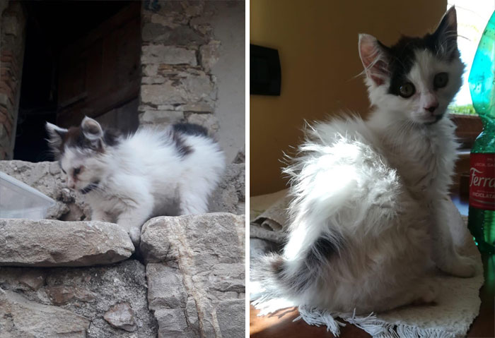 After 6 Months With Us