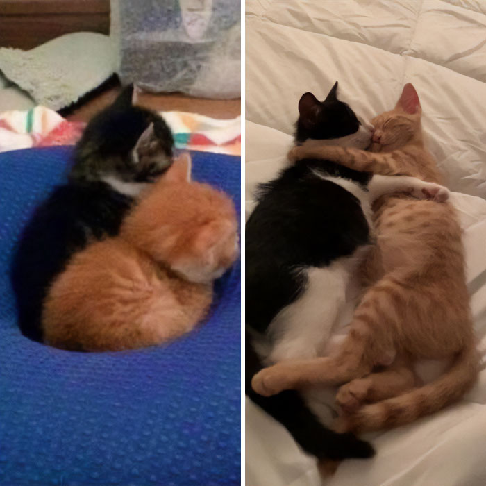 How It Started vs. How Its Going