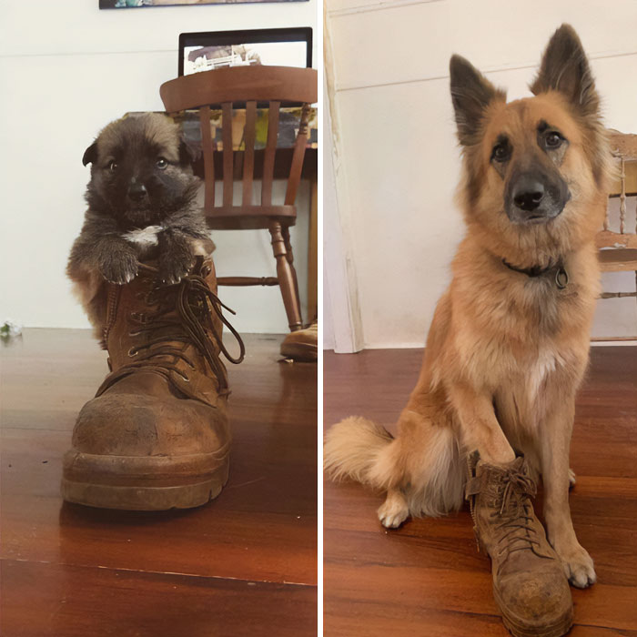Three Years Apart, Same Boot