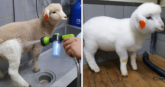 Not Power Washing, But Too Good Not To Share