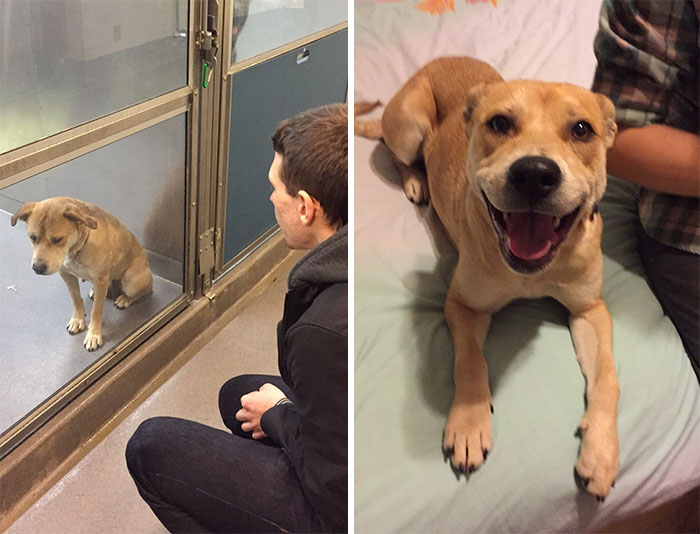 What A Difference One Day Can Make. Meet Spokey!