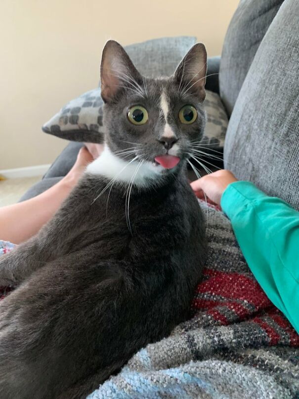 Big Surprised Blep!
