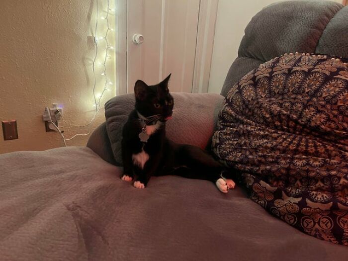 ¡El primer blep de Yuki!