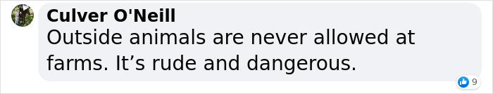 Pumpkin Farm Kicks Out Karen Who Brought A Snake To Its Territory, She Threatens To Go To The Press, Gets Shut Down By The Owner